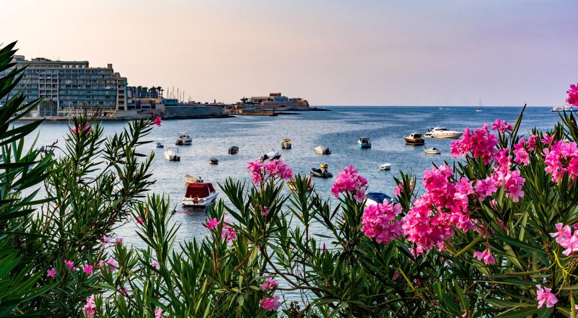 La88 Bayview Apartment III Sliema Eksteriør billede